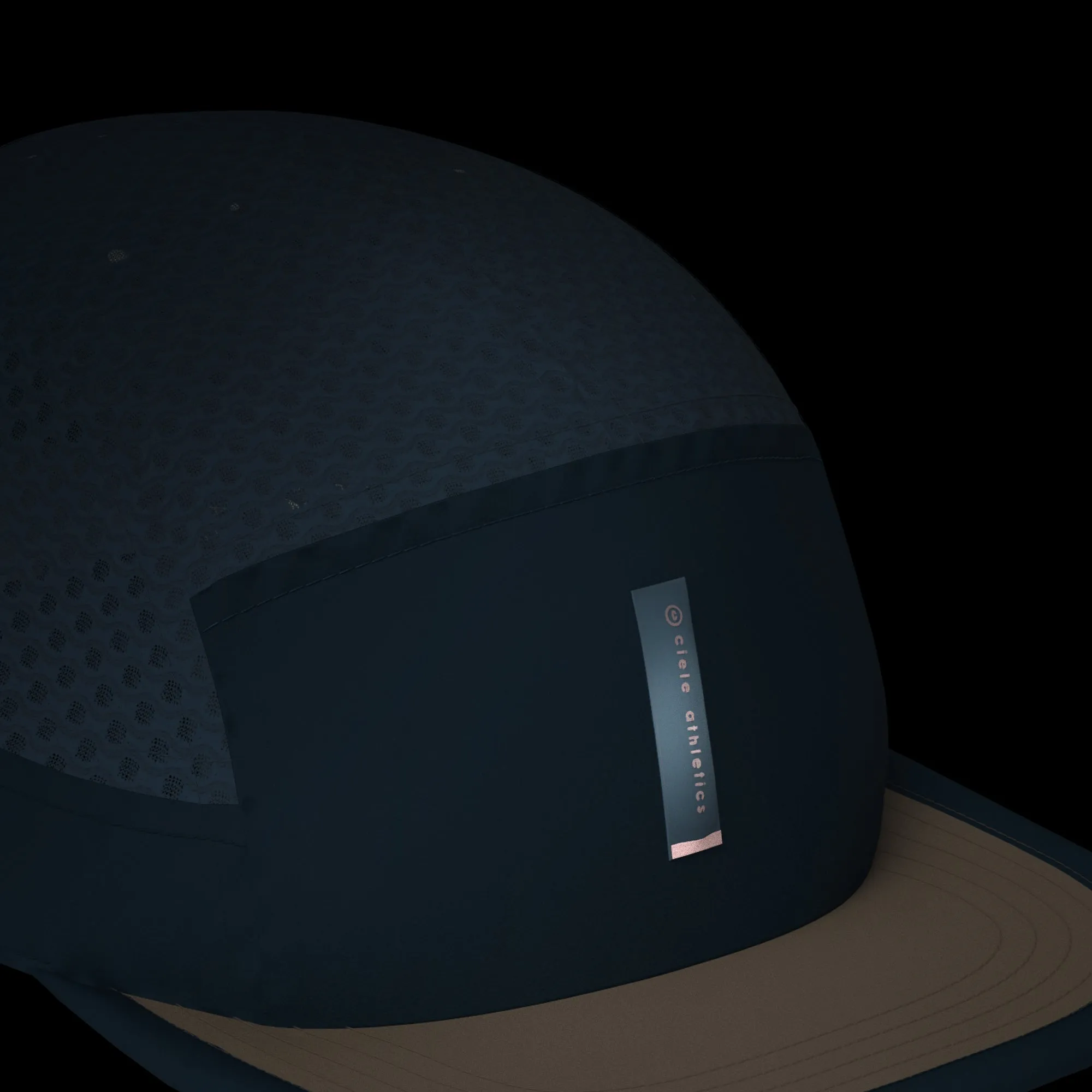 ALZCap - Carbon - Steeldan