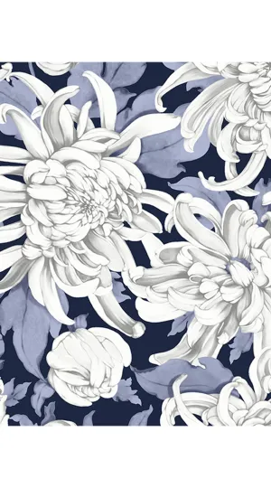 Audrey Dress #4 Shirt Collar 1/2 Sleeve Long  3 Length Cotton Musola (Chrysanthemum Flower Big)