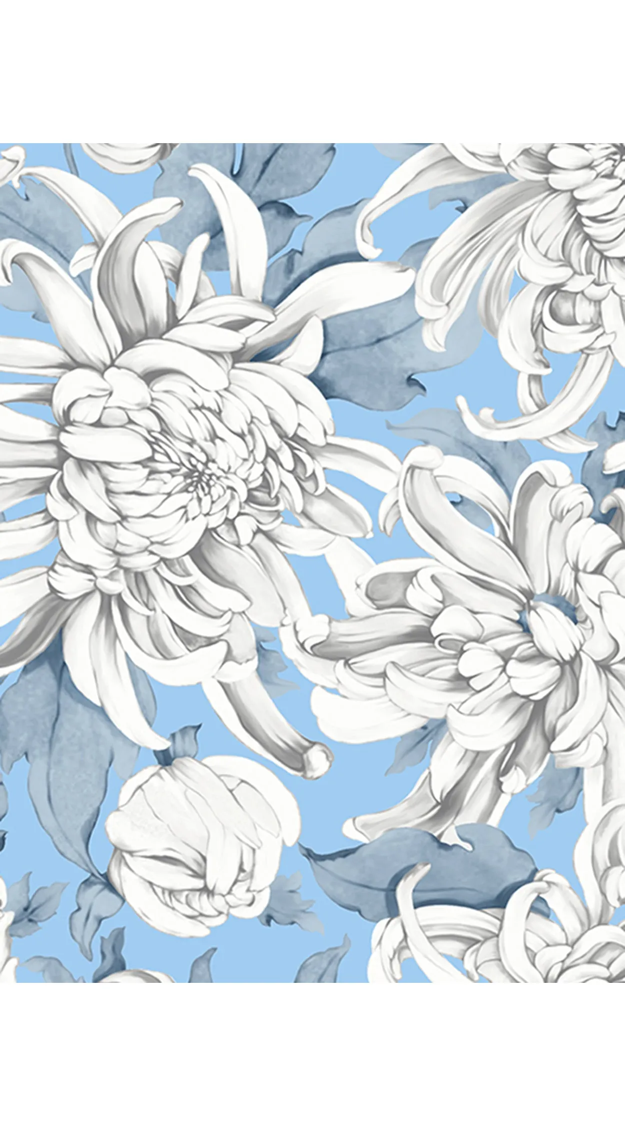 Audrey Dress #4 Shirt Collar 1/2 Sleeve Long  3 Length Cotton Musola (Chrysanthemum Flower Big)