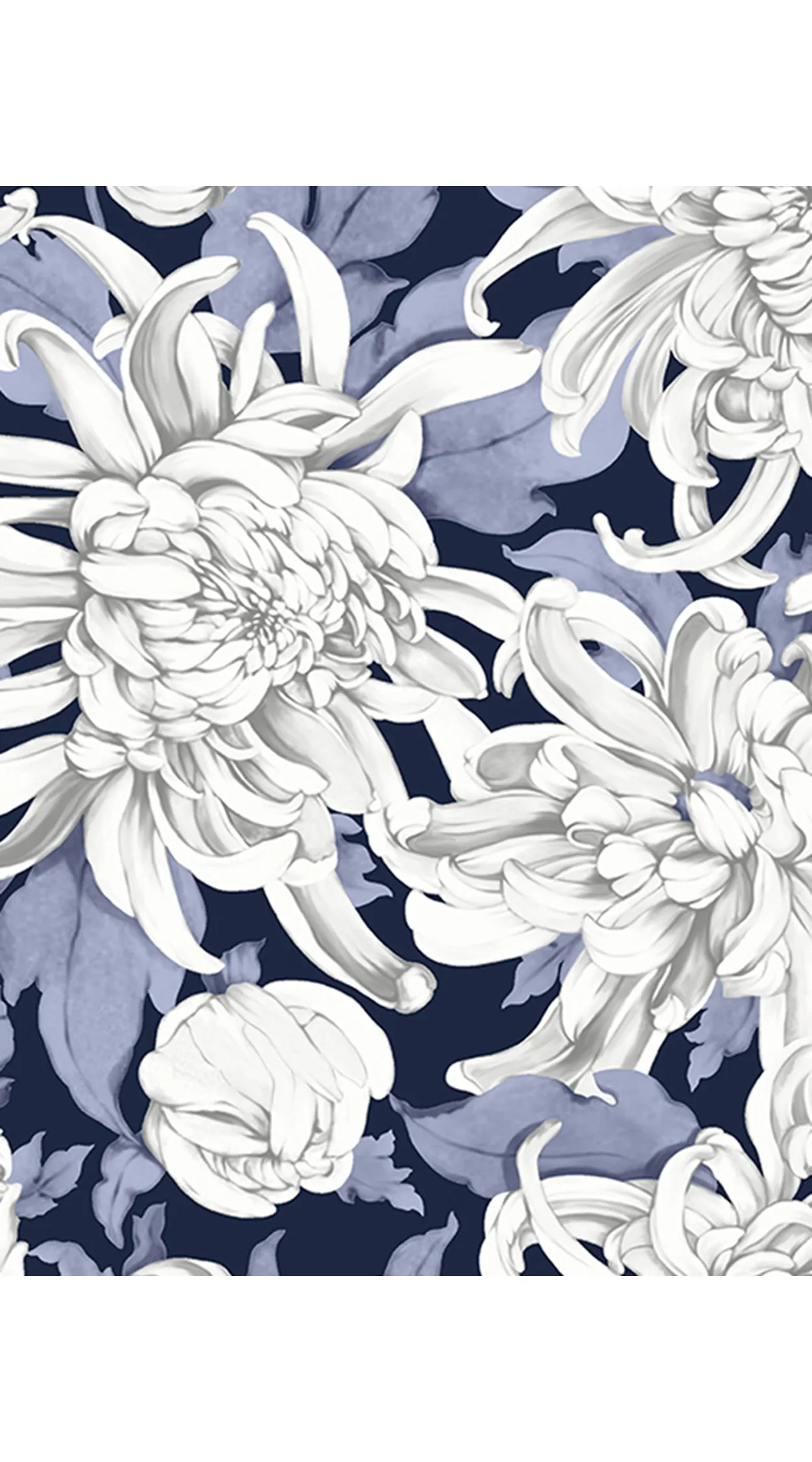 Audrey Dress #4 Shirt Collar 1/2 Sleeve Long  3 Length Cotton Musola (Chrysanthemum Flower Big)