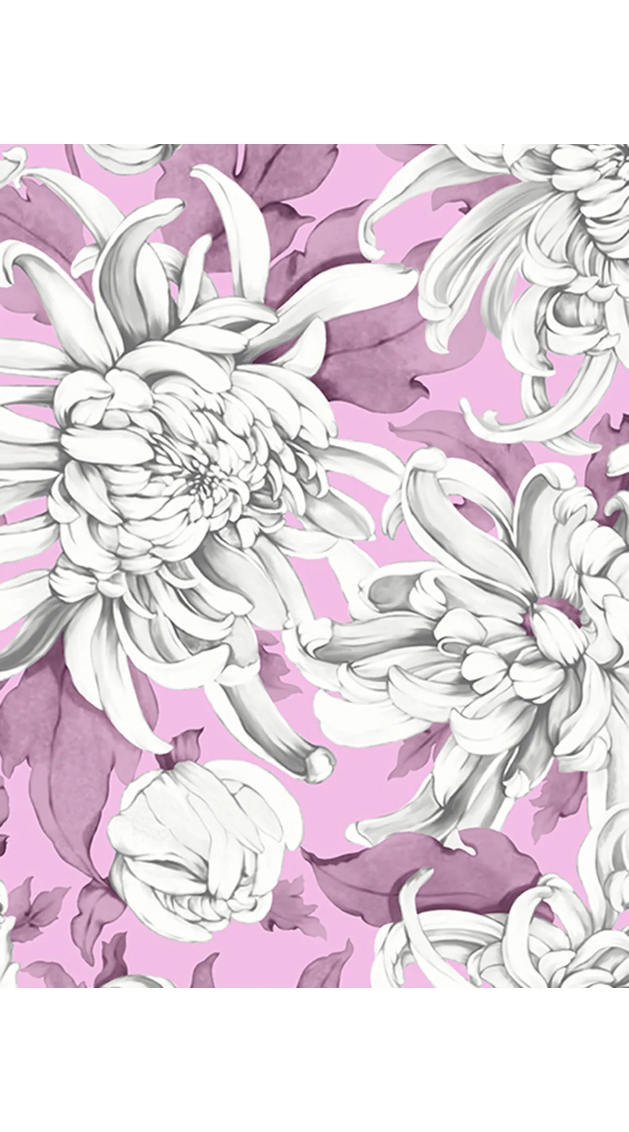 Audrey Dress #4 Shirt Collar 1/2 Sleeve Long  3 Length Cotton Musola (Chrysanthemum Flower Big)