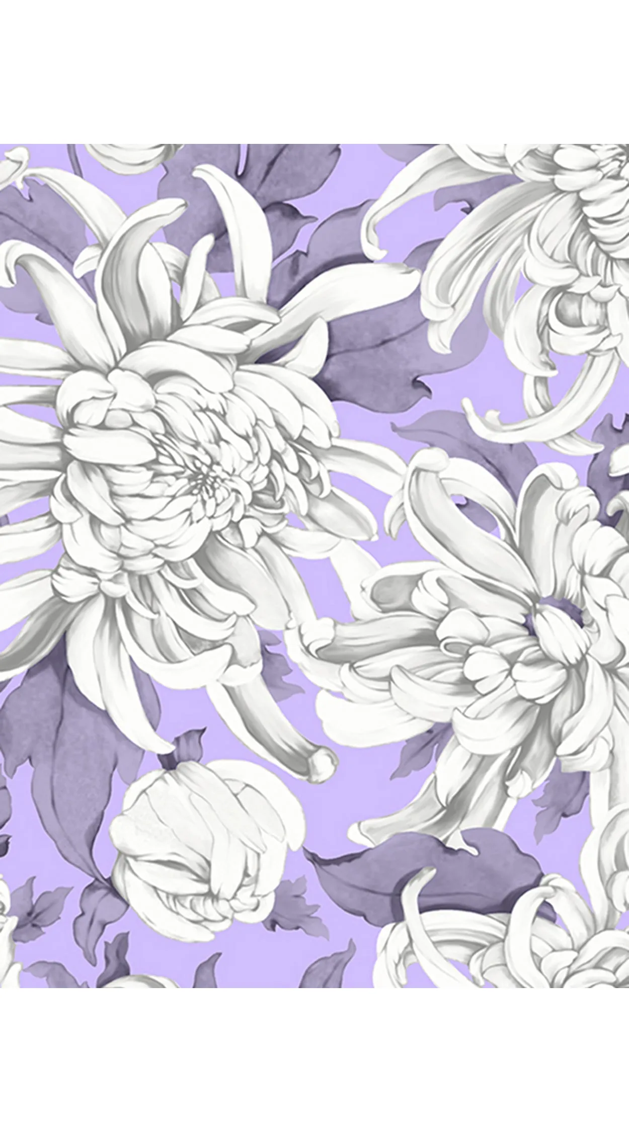 Audrey Dress #4 Shirt Collar 1/2 Sleeve Long  3 Length Cotton Musola (Chrysanthemum Flower Big)