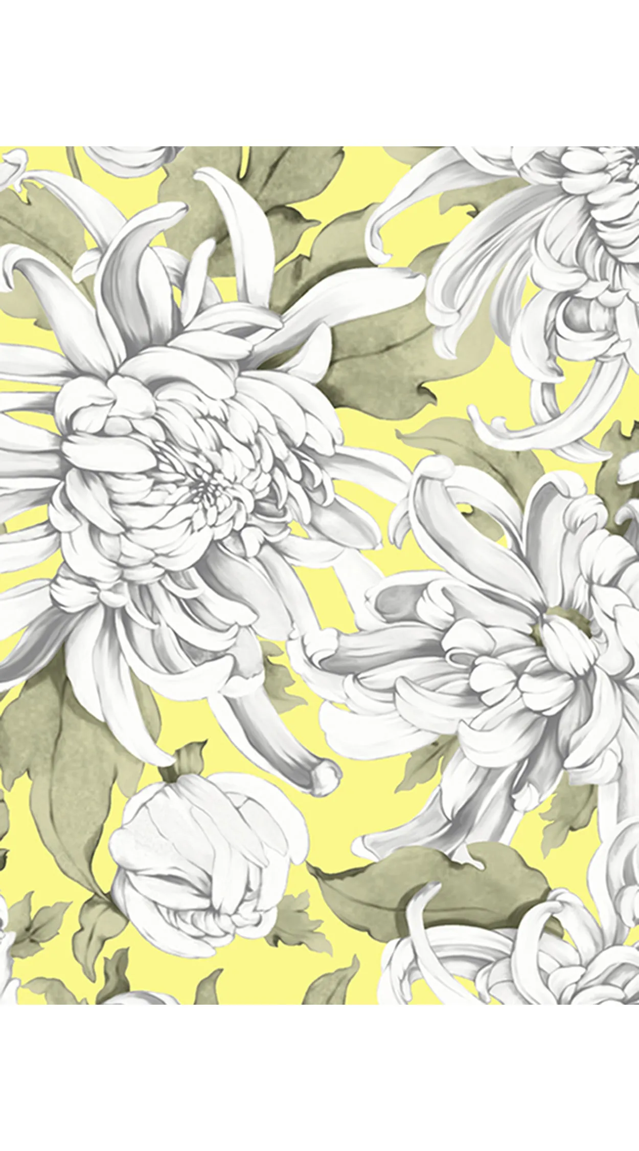 Audrey Dress #4 Shirt Collar 1/2 Sleeve Long  3 Length Cotton Musola (Chrysanthemum Flower Big)