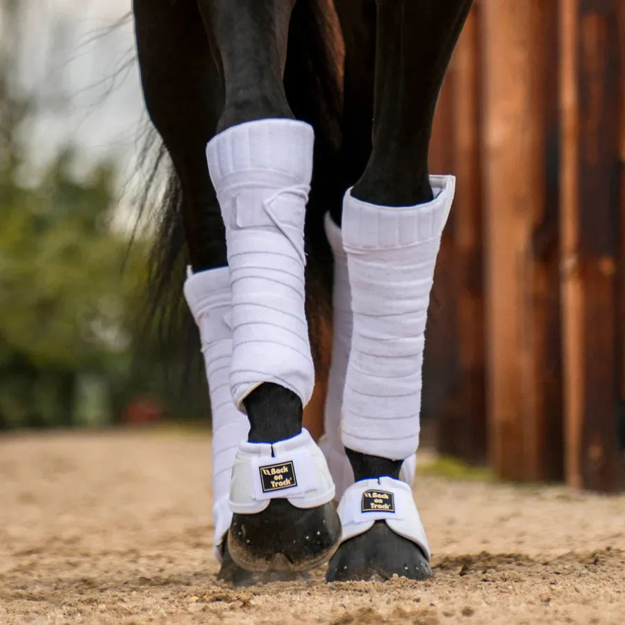 BOT Equine Bell Boots Performance