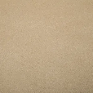 Cuddle Suede in Sand by Shannon Fabrics