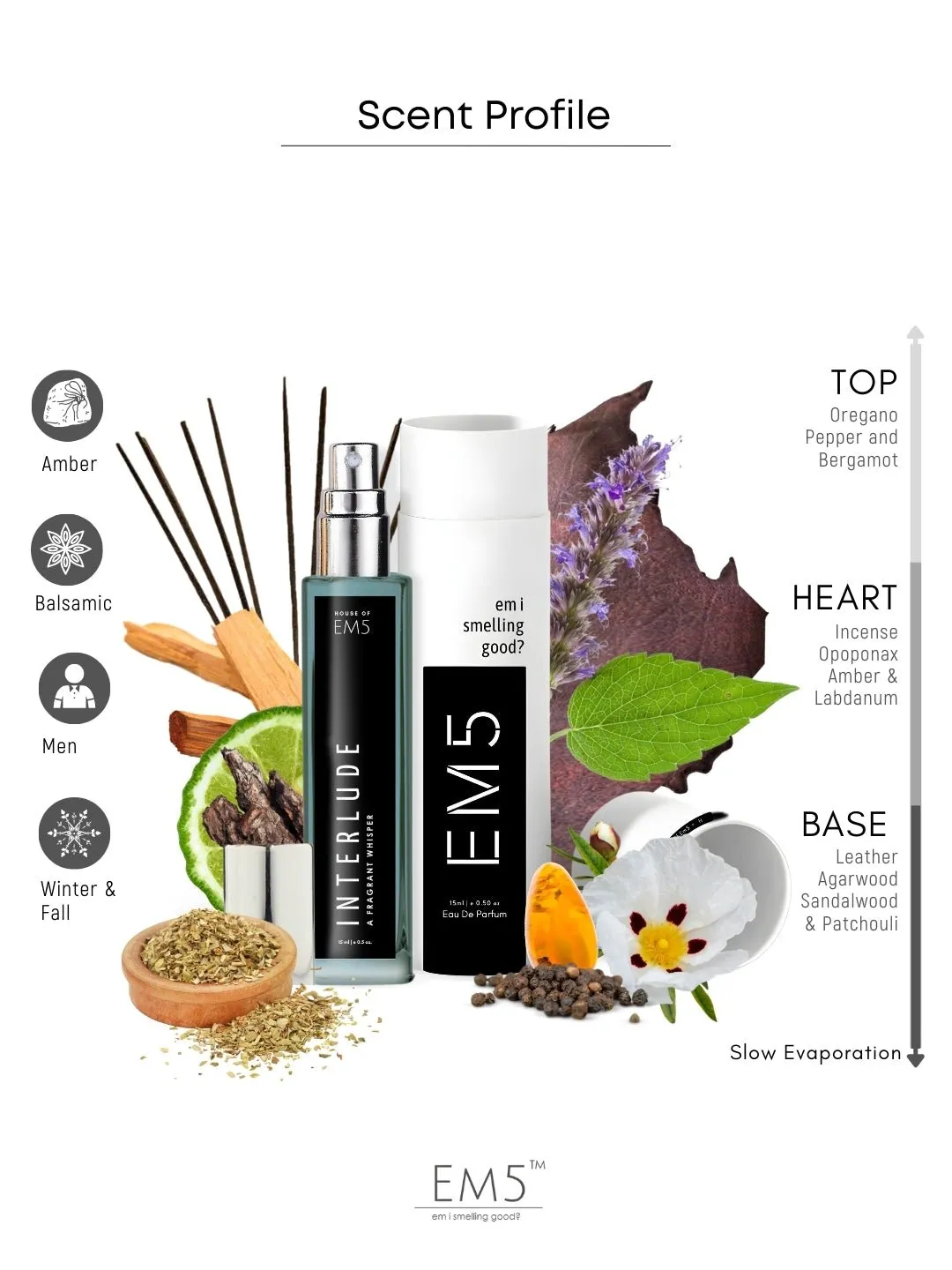 EM5™ Interlude Perfume for Men | Amber Smoky Woody Fragrance Accords | Luxury Gift for Him | Variants Available: 50 ml Spray / 15 ml Spray