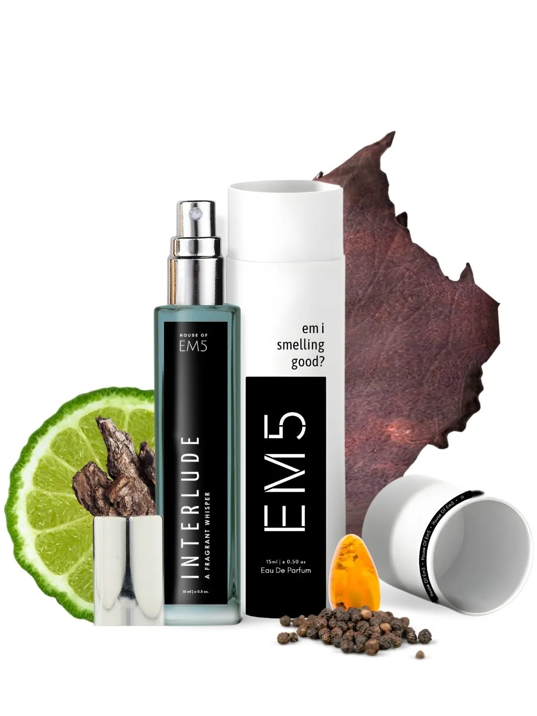 EM5™ Interlude Perfume for Men | Amber Smoky Woody Fragrance Accords | Luxury Gift for Him | Variants Available: 50 ml Spray / 15 ml Spray