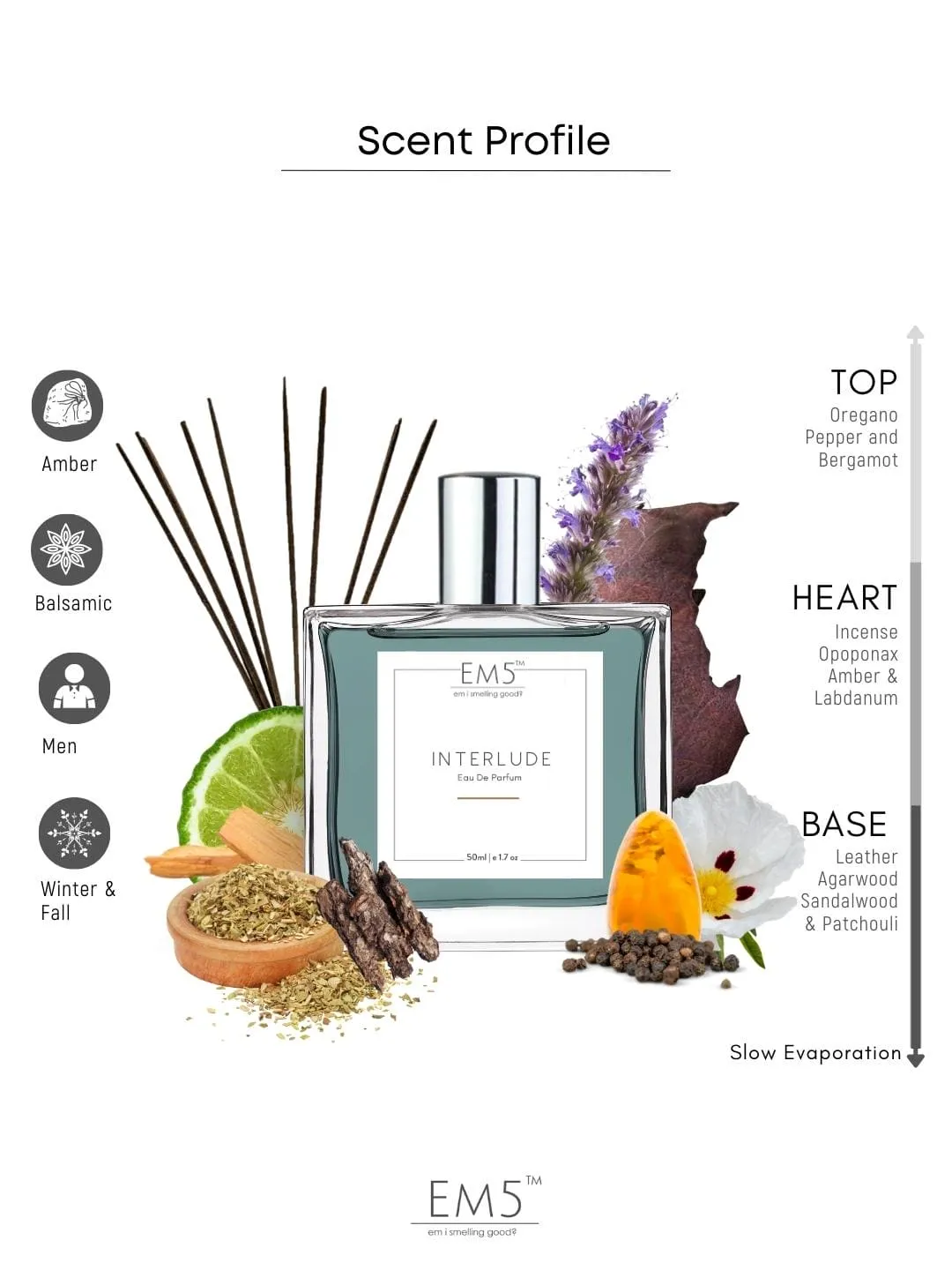 EM5™ Interlude Perfume for Men | Amber Smoky Woody Fragrance Accords | Luxury Gift for Him | Variants Available: 50 ml Spray / 15 ml Spray