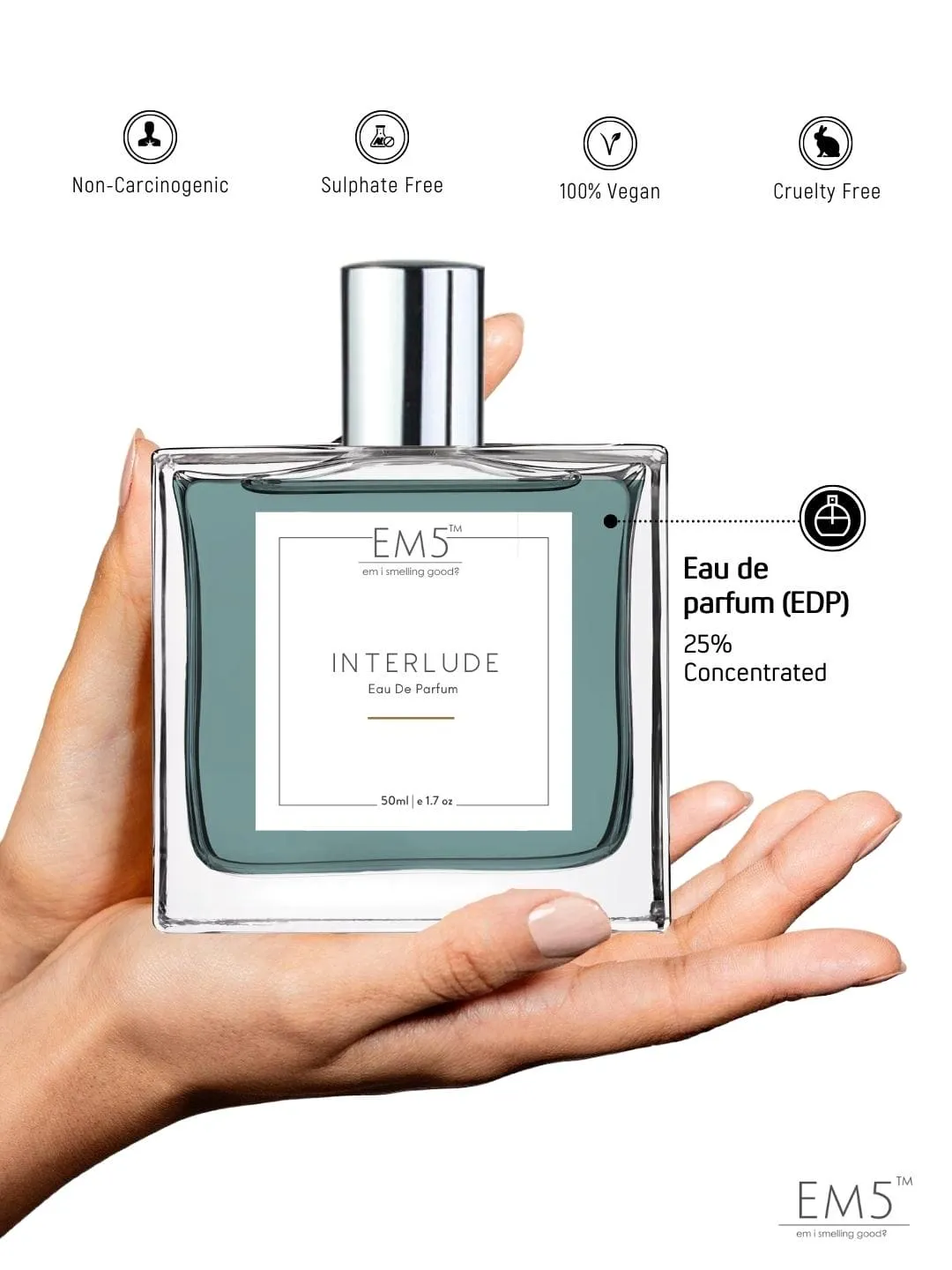 EM5™ Interlude Perfume for Men | Amber Smoky Woody Fragrance Accords | Luxury Gift for Him | Variants Available: 50 ml Spray / 15 ml Spray