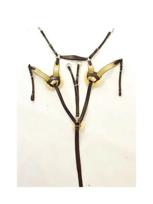 HyCLASS Premium Breastplate