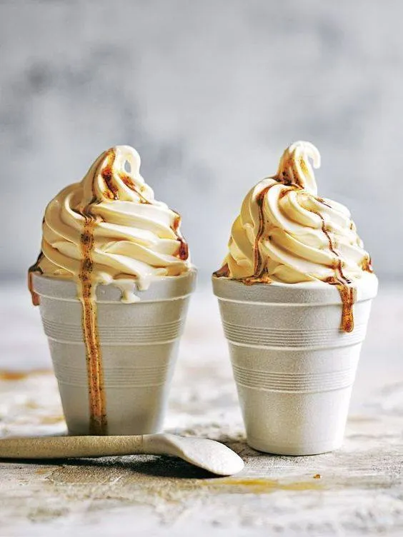 Ice Cream Machine – Donper USA D-250 with Bonus Value Bundle - It's Like Getting A Free Machine