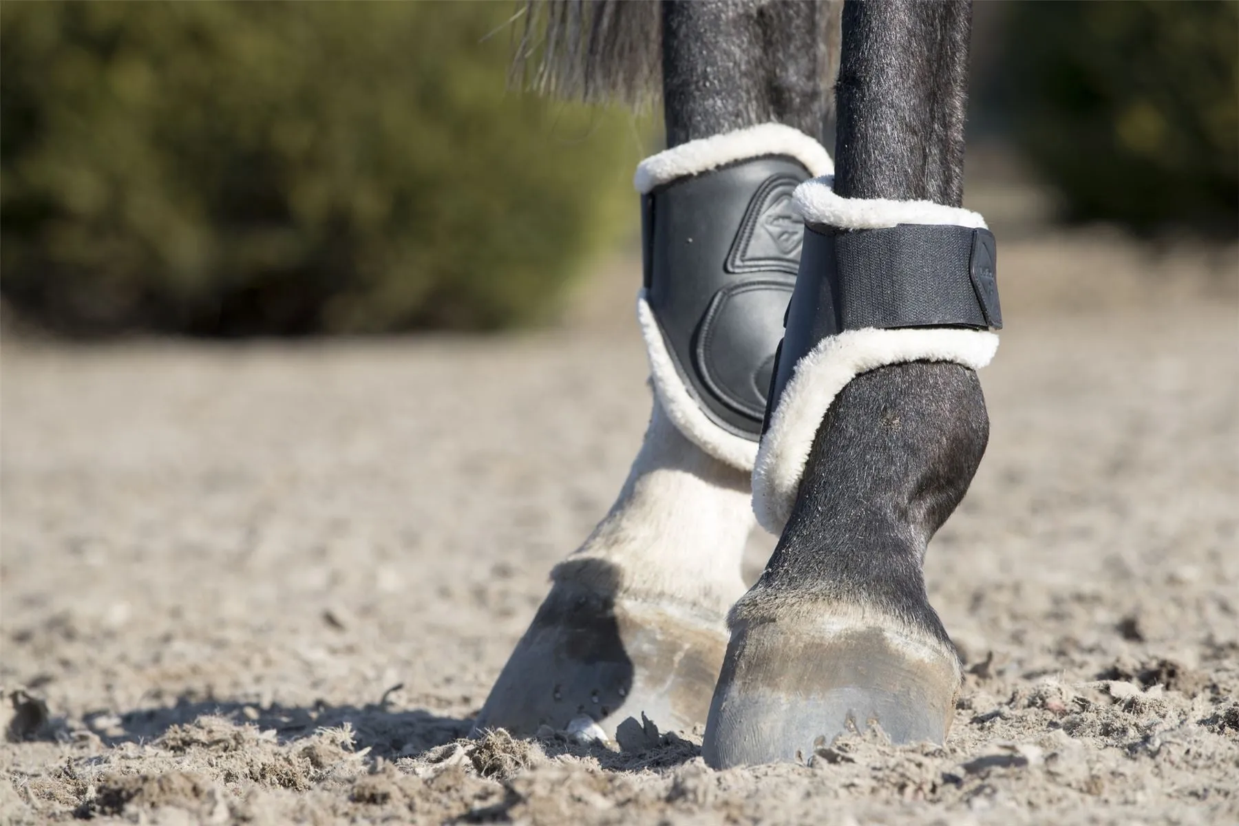 LeMieux Capella Comfort Fetlock Boots