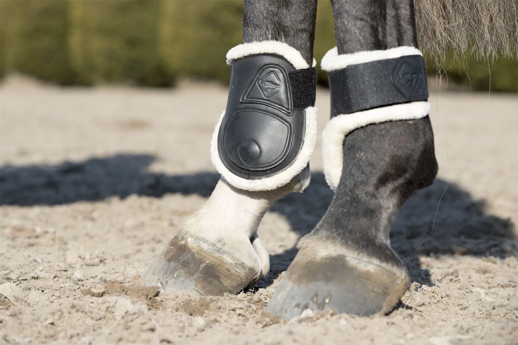 LeMieux Capella Comfort Fetlock Boots