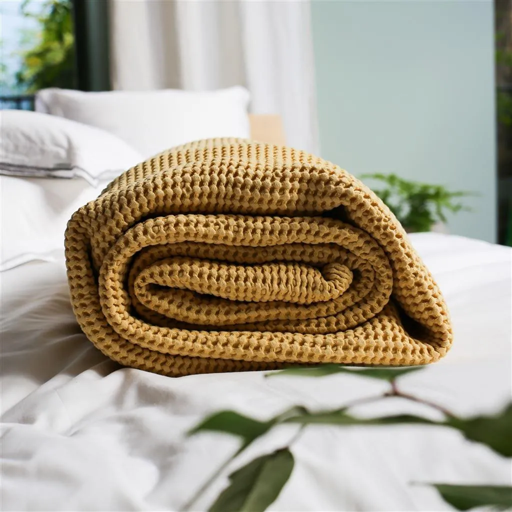 Manta Designers Guild Alba Mimosa