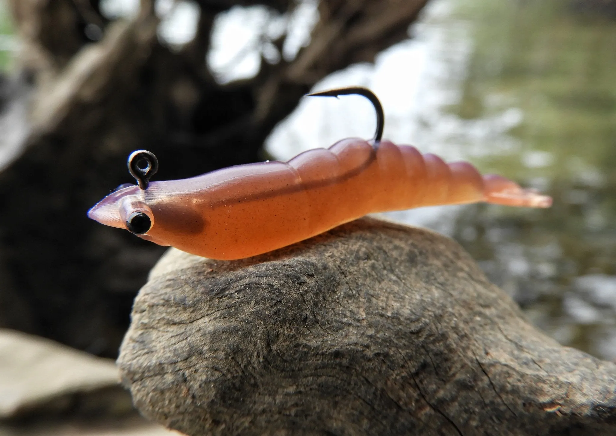 MMD Soft Prawns