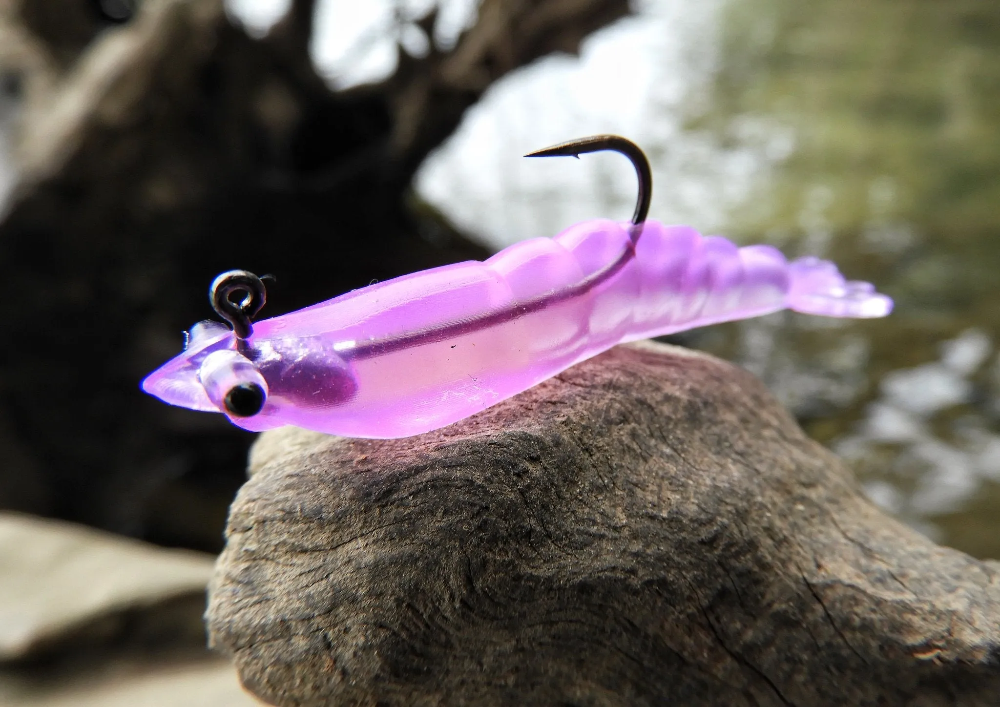 MMD Soft Prawns