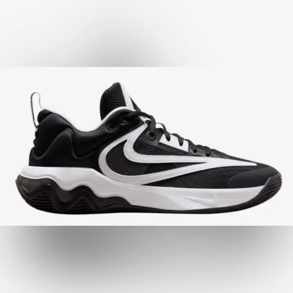 NWOB Nike Giannis Immortality 3