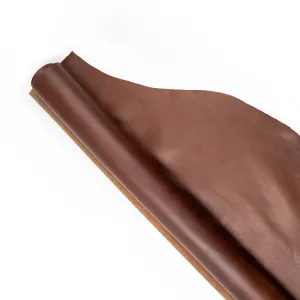 Odersa