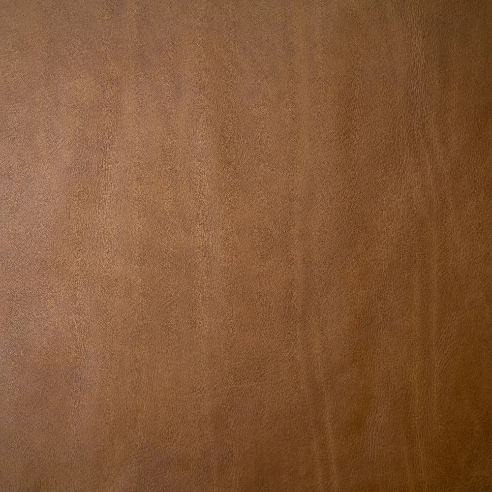 Odersa