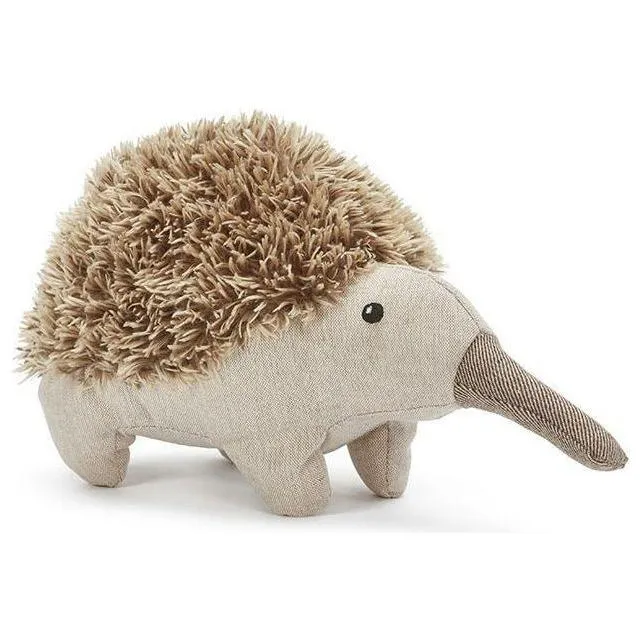 Spike the Echidna