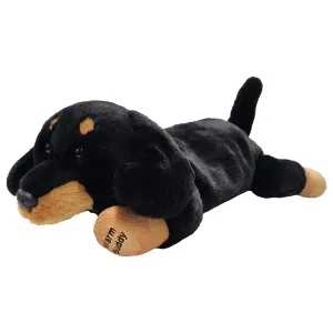 Warm Buddy Dachshund